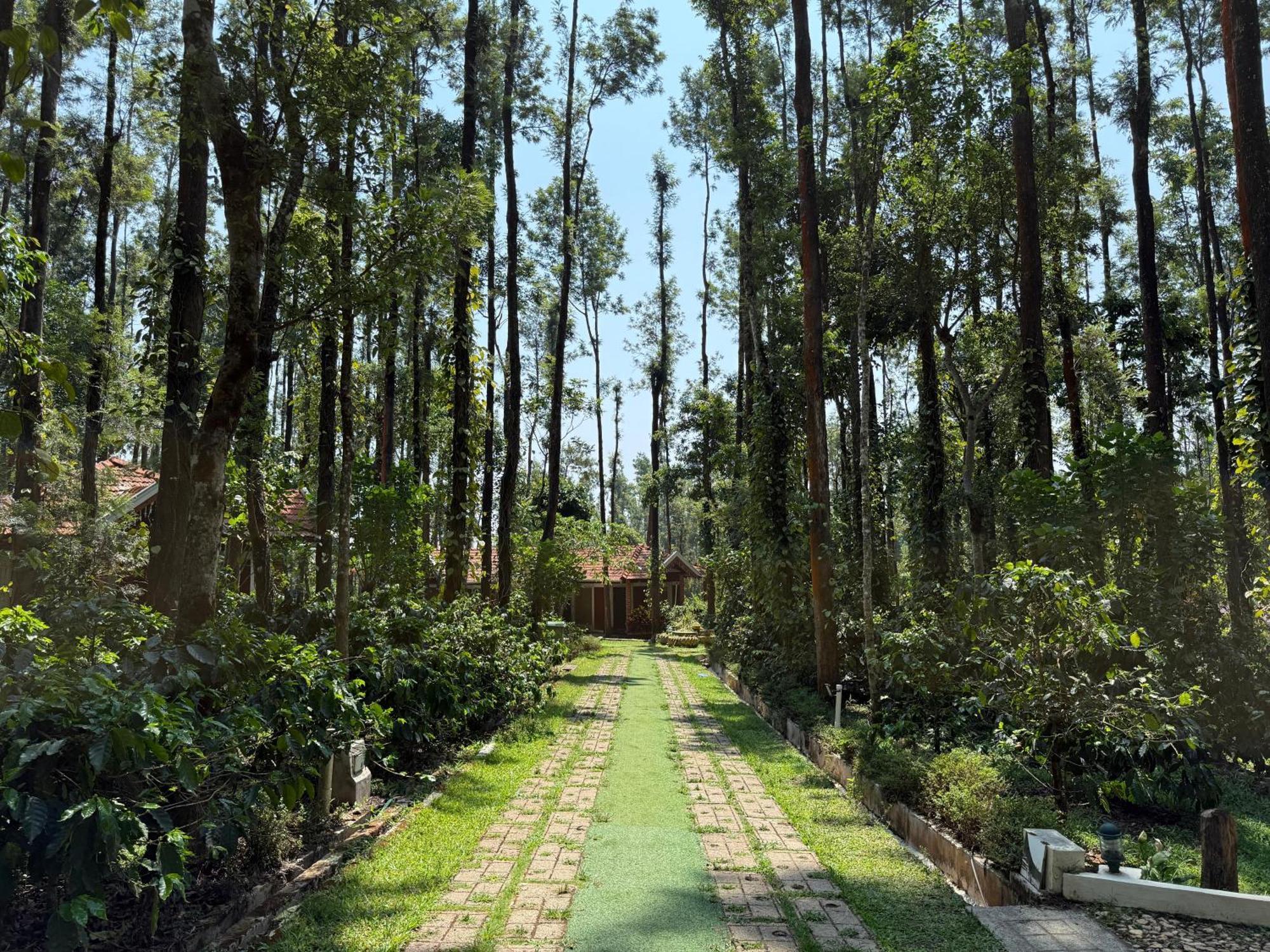 Coffee Grove Resort Чикмагалур Экстерьер фото